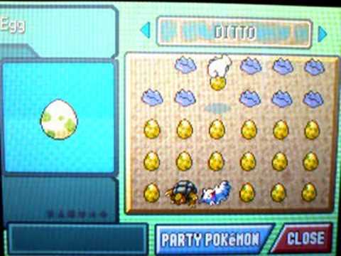 pokemon-pc-flled-with-eggs