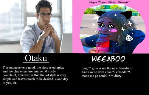 anime, WeeaboOtaku