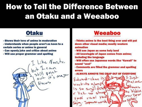 Anime Reviews for Weeaboos