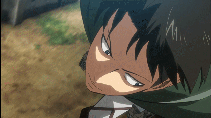 The captain of the Survey Corps is named Levi.