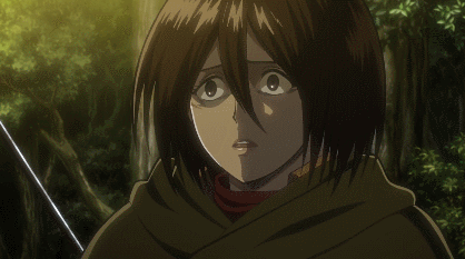 Mikasa is a great fighter, but doesn't always think straight.