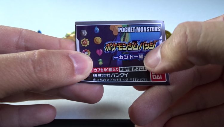 pokemon-official-kanto-gym-badges5