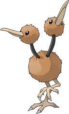 doduo