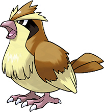 pidgey