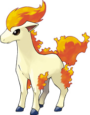 ponyta