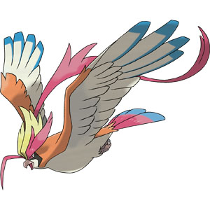 mega pidgeot