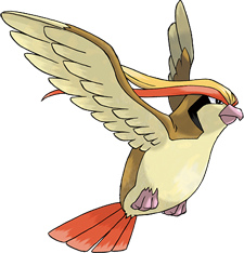 pidgeot