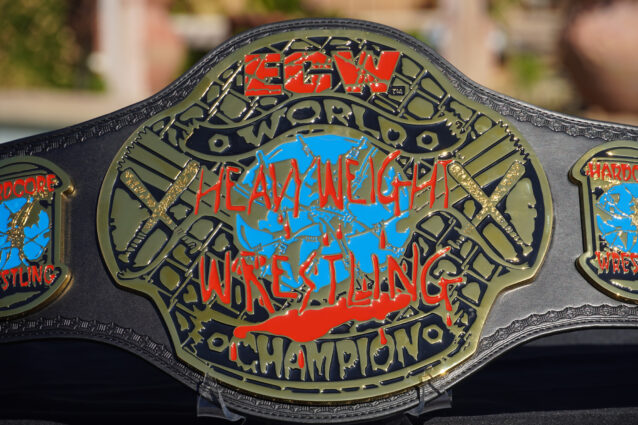 Ecw toy hot sale belt