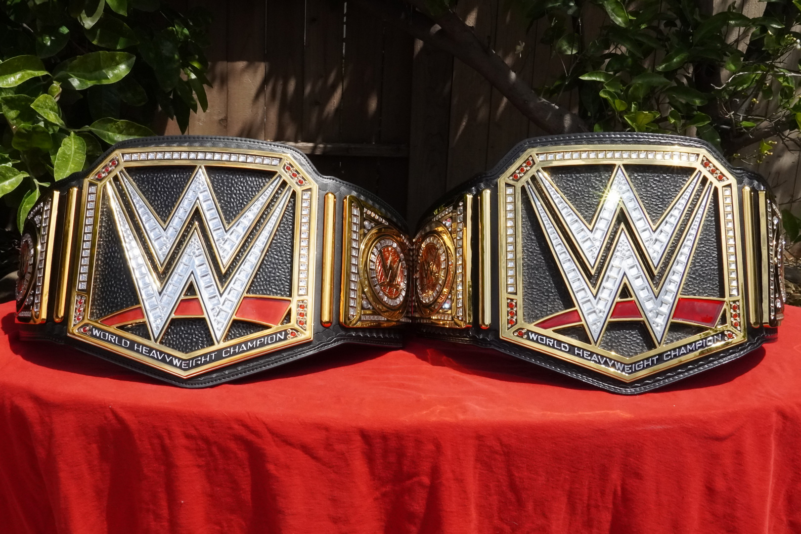 Set of 4 Nameplate Screws for WWE Spinning Championship Belt
