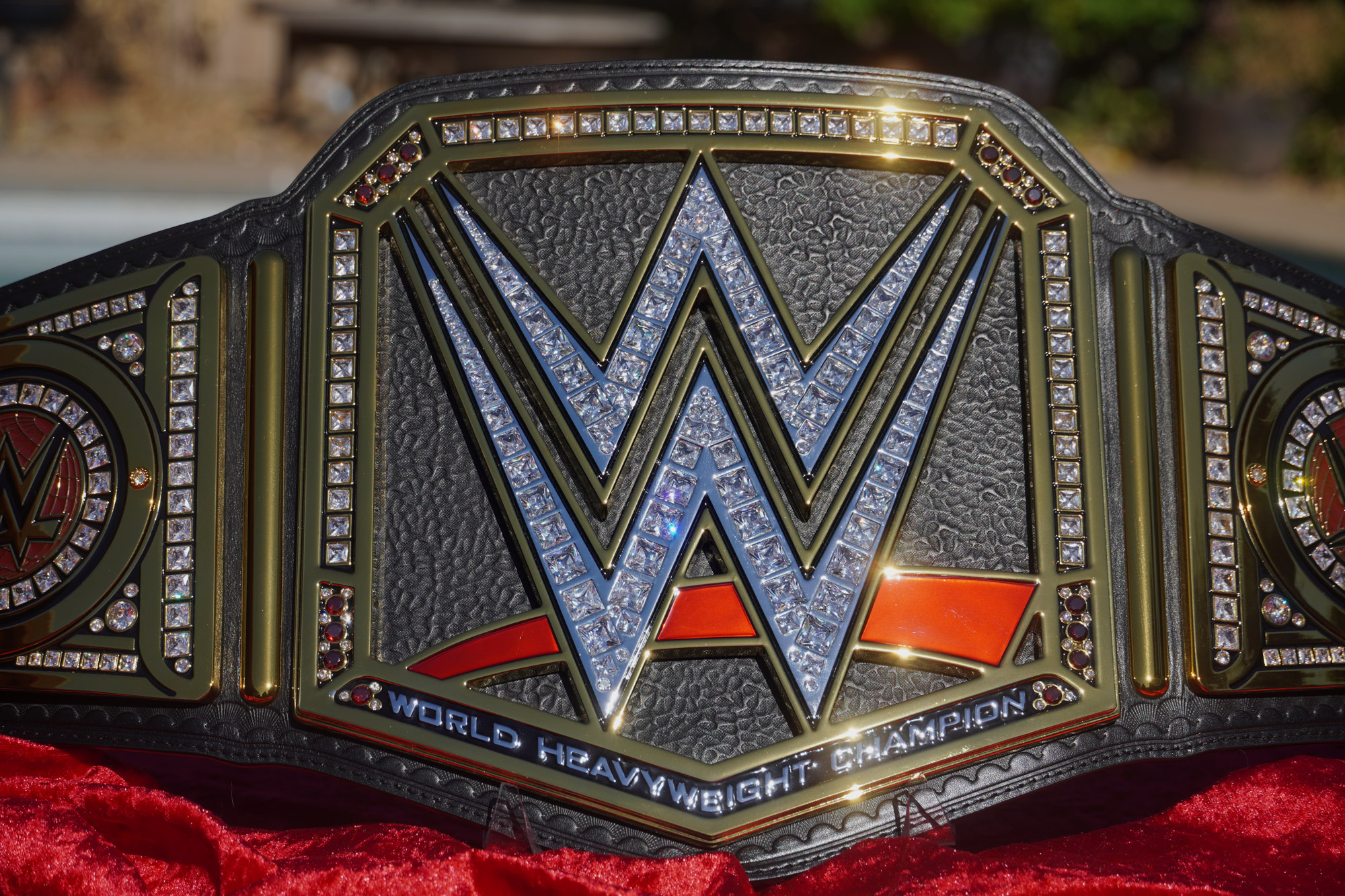 WWE Championship World Heavyweight Championship Logo WWE Network