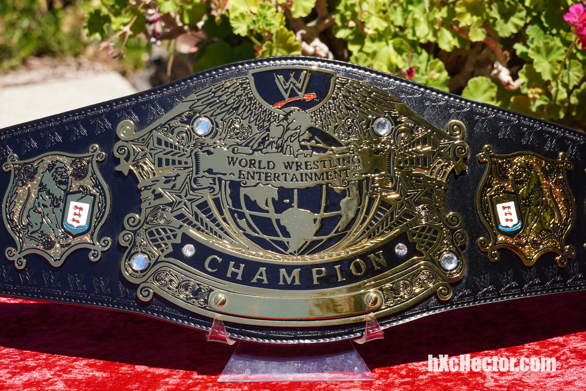 Set Of 5 Black Replica Belt Screws for WWE Championship Belts