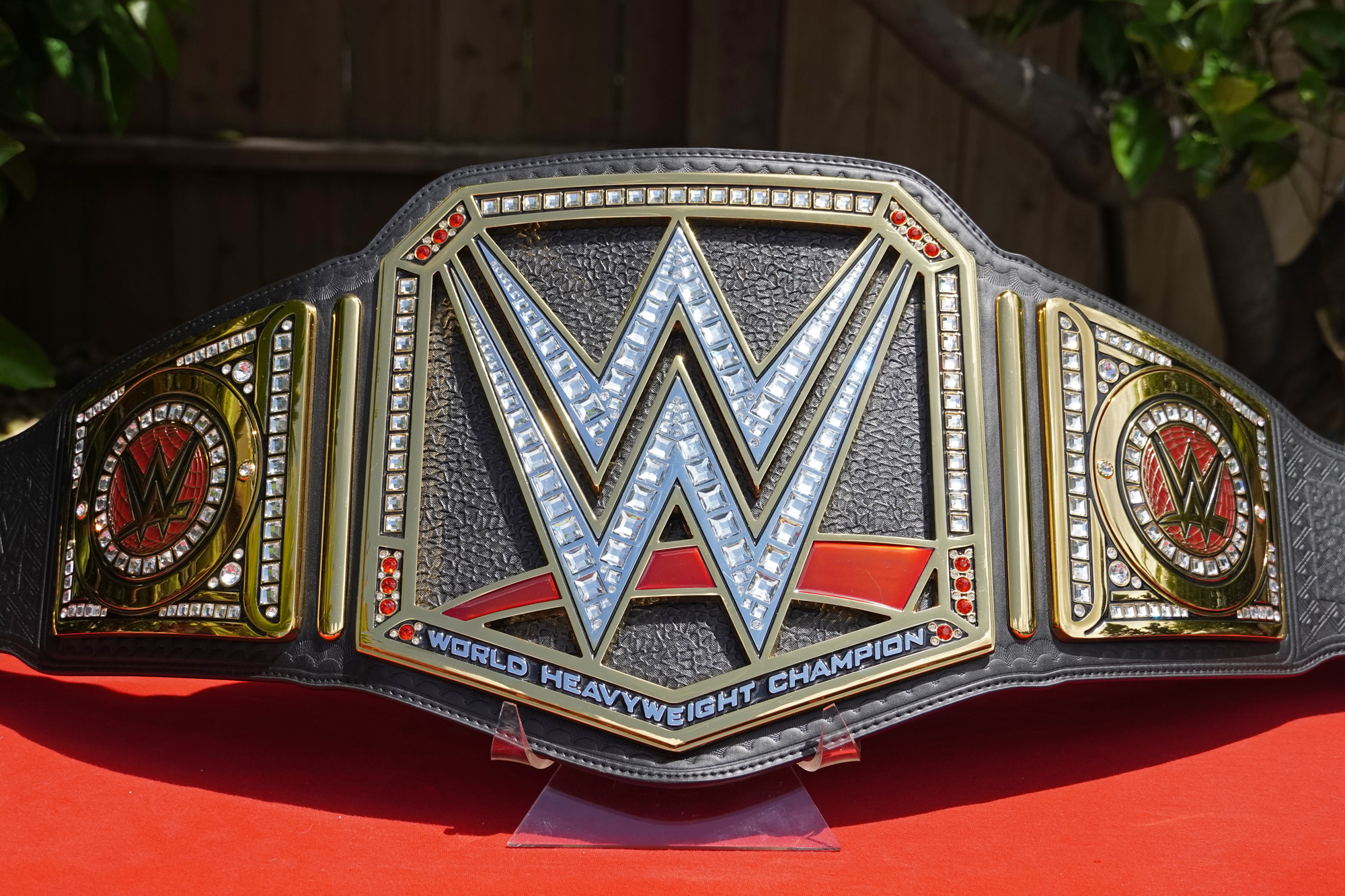 Set Of 10 Gold Replica Belt Screws for WWE Wrestling Belts