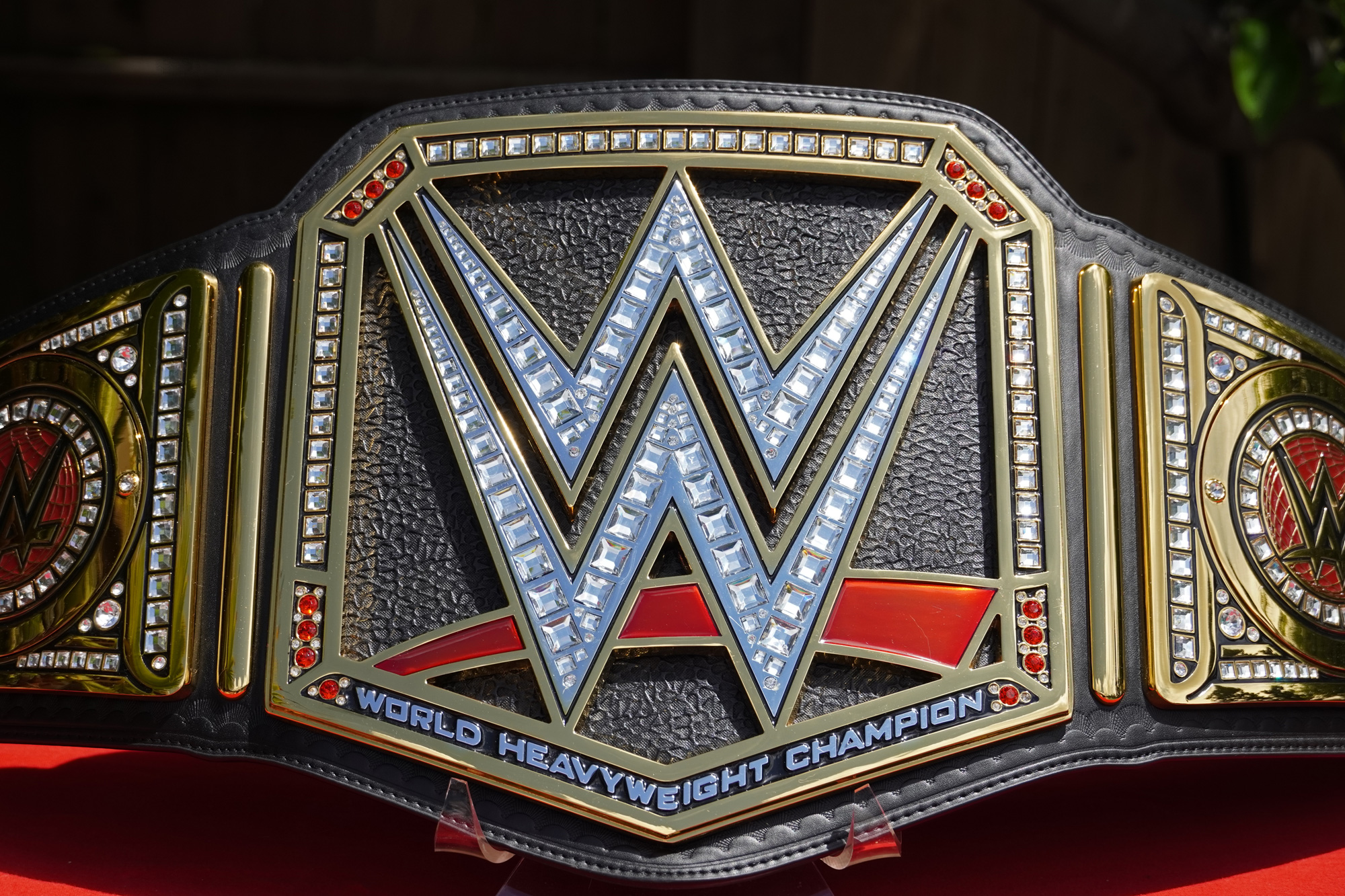 wwe logo